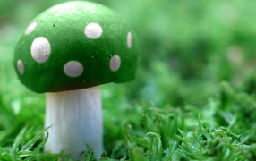 Зеленый мухомор
