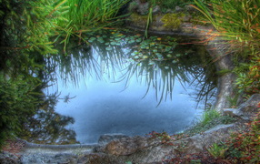 Среди камышей