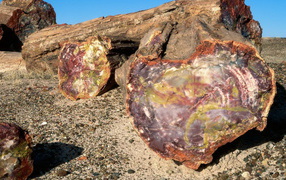 Древняя порода