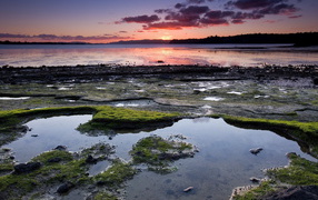 Омелевший берег