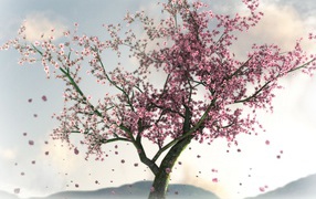 Цветущая сакура