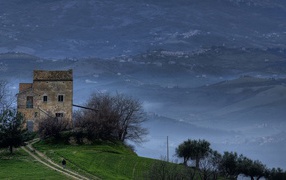 Туманные холмы