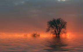 Наводнение