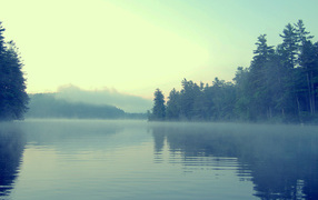 Туман в сумерках