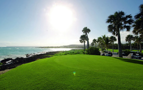 Поля для гольфа