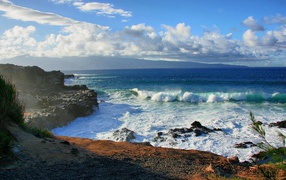 Берег океана