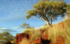В солнечный день