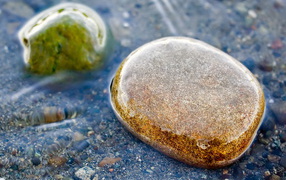 Крупная галька