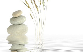 Отражение в воде