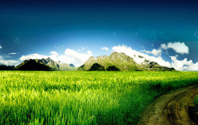 Дорога через поле