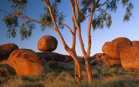 Круглые камни