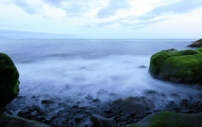 Морское побережье