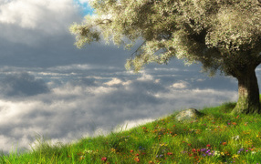 Весеннее цветение