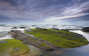 Камни у берега