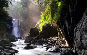 Ручей, лес, камни