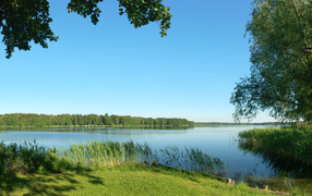 Летняя благодать