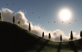 Солнечный холм