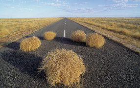 Дорога через пустыню