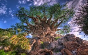 Дерево жизни