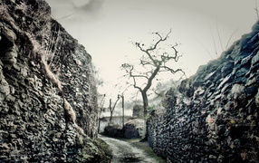 Дорожка между стен