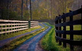 Деревянные заборы