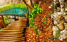 Дорожка к озеру