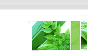 Навес из листьев