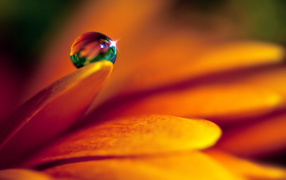 Кристальная капля