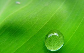 Капля воды