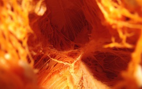 Внутренняя тыква