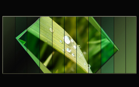 Светло-зеленый лист