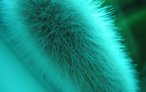 Макро съемка