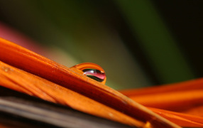 Гладкое Скольжение