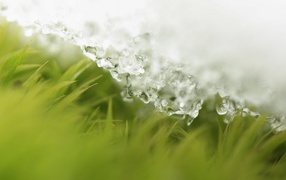 Пришла весна