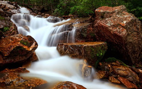 Лесной ручей