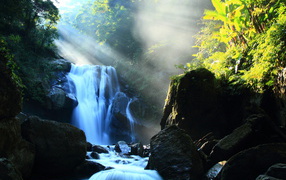 Речка в лесу