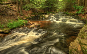 Речка в лесу