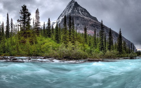 Бурная река