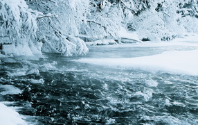 Зимняя река