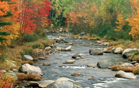 Beautiful river in the autumn