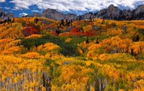 Красочная осень