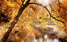 Fall creek
