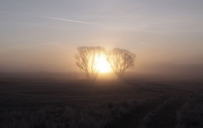 Морозное утро