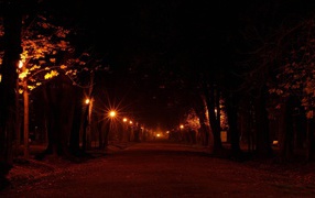 Ночь в парке