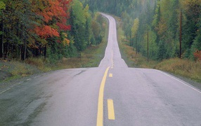 Лесная дорога