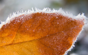 Осенний холод