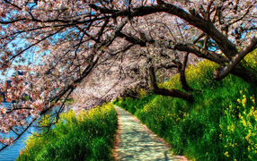 Весеннее пробуждение