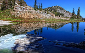 Весенняя природа