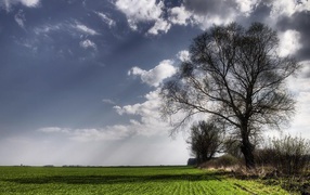 Обновленная природа