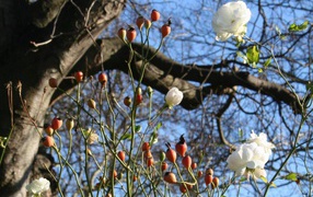 Обновление